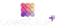 cowebflux